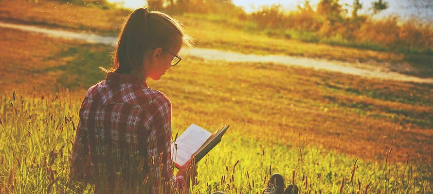 Frau bei Sonnenschein sitzend und Buch lesend in Feld