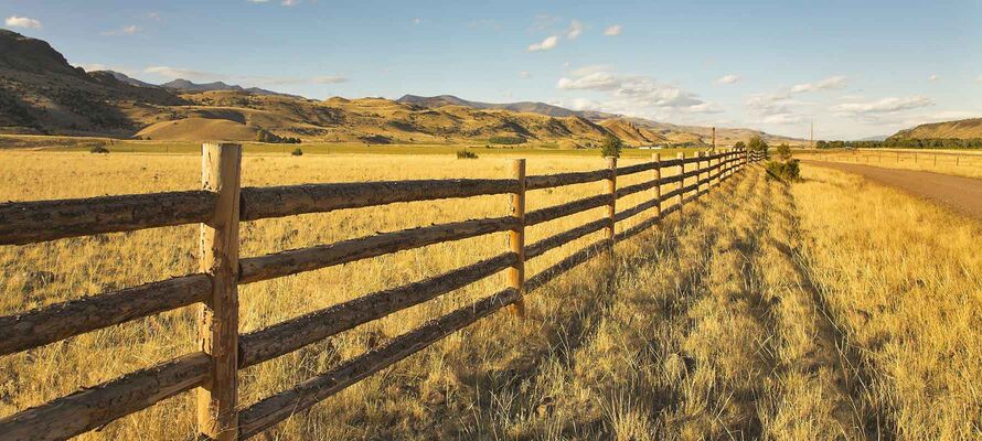 Holzzaun im Feld, weite Perspektive